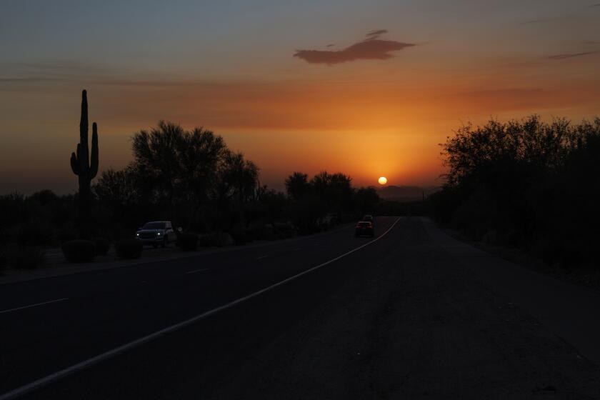 SCOTTSDALE, AZ - OCTOBER 2, 2024: The Saguaro cactus, left, the most iconic cactus in Arizona, is silhouetted against the desert sky on October 2, 2024 in Scottsdale, Arizona. Many Californians who are used to west coast sunsets have moved to Arizona possibly changing the political landscape.(Gina Ferazzi / Los Angeles Times)