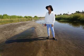 BAKERSFIELD, CALIF SEPTEMBER 11, 2024 -- Alexandra Brown, a graduate student in biology surveys the drying Kern River where thousands of dead fish are counted and logged in, while environmental groups are engaged in lawsuits that seek to require flows in the river to continue throughout the year in Bakersfield, Calif., Wednesday, Sep. 11, 2024. (Gary Kazanjian / For The Times)