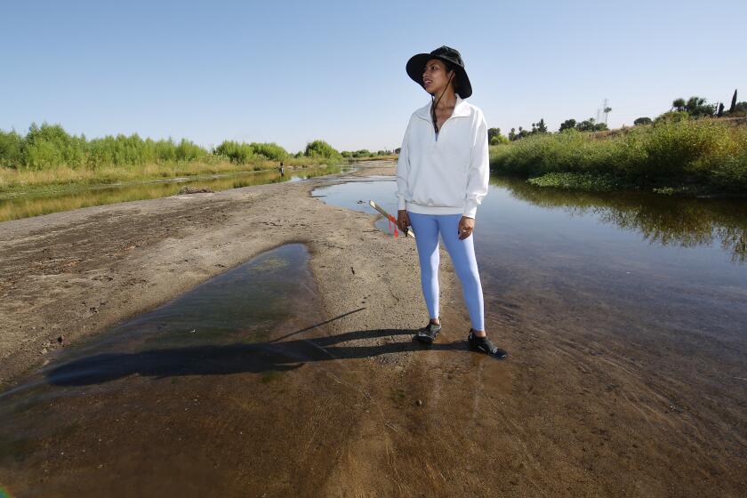 BAKERSFIELD, CALIF SEPTEMBER 11, 2024 -- Alexandra Brown, a graduate student in biology surveys the drying Kern River where thousands of dead fish are counted and logged in, while environmental groups are engaged in lawsuits that seek to require flows in the river to continue throughout the year in Bakersfield, Calif., Wednesday, Sep. 11, 2024. (Gary Kazanjian / For The Times)