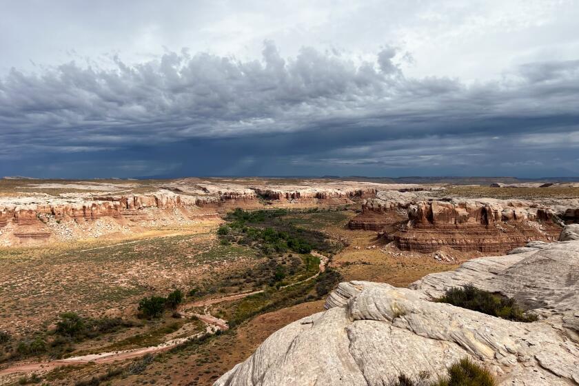 A view of the wash from above Cottonwood Wash, UT.(Jack Herrera / Los Angeles Times)