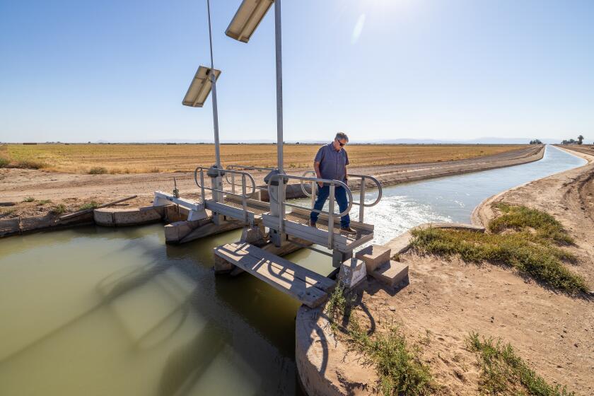 Imperial Valley, CA - September 24: Mark McBroom, owner of Bloom to Box Crop Care, and a farmer in the Imperial Valley, walks across a water flow gate next to his alfalfa fields he has left dry near Calipatria. He and other farmers have been temporarily leaving hay fields dry as part of a federally funded program that is securing water to boost reservoir levels on the Colorado River. The Imperial Irrigation District has been locking canal gates in recent weeks so that no water can be delivered where farmers have agreed to participate. Photo taken Tuesday, Sept. 24, 2024. Many Imperial Valley farmers are voluntarily participating in a multimillion dollar Colorado River deal in which the federal government that is paying farmers in the Imperial Valley to leave their hay fields dry during part of the year in exchange for payments. (Allen J. Schaben / Los Angeles Times)