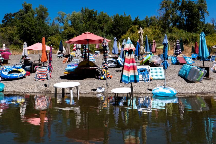 Forestville, CA - January 15: Umbrellas along Odd Fellows Beach at Summerhome Park on the Russian River on Monday, Jan. 15, 2018 in Forestville, CA. (Brian van der Brug / Los Angeles Times)