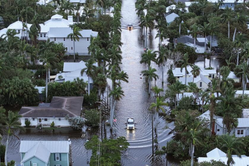 PUNTA GORDA - OCTOBER 10: In this aerial view, Flood waters inundate a neighborhood after Hurricane Milton came ashore on October 10, 2024, in Punta Gorda, Florida. The storm made landfall as a Category 3 hurricane in the Siesta Key area of Florida, causing damage and flooding throughout Central Florida. (Photo by Joe Raedle/Getty Images)